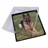 4x Alsatian/ German Shepherd Dog Picture Table Coasters Set in Gift Box
