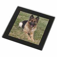 Alsatian/ German Shepherd Dog Black Rim High Quality Glass Coaster