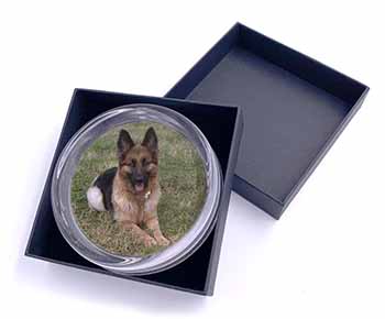 Alsatian/ German Shepherd Dog Glass Paperweight in Gift Box