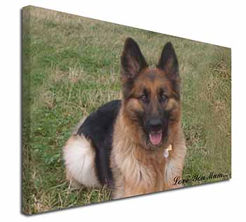 German Shepherd 