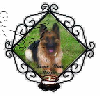 German Shepherd 