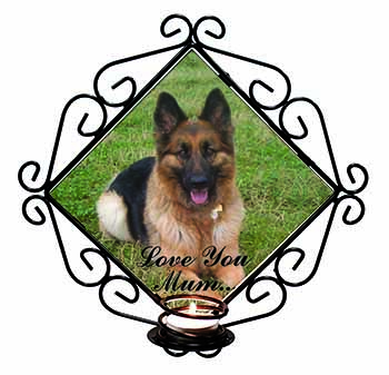 German Shepherd 