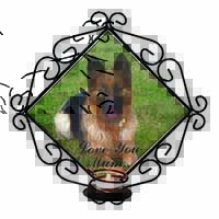 German Shepherd 