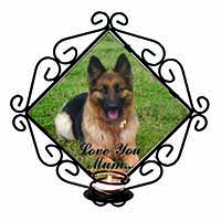 German Shepherd 