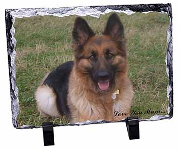 German Shepherd 