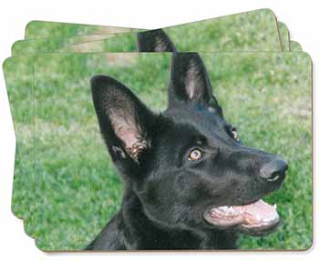 Black German Shepherd Dog Picture Placemats in Gift Box