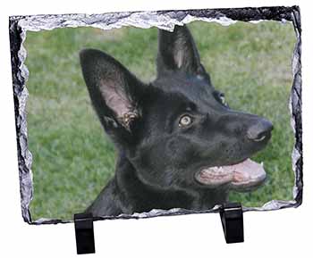 Black German Shepherd Dog, Stunning Photo Slate
