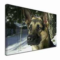 German Shepherd Dog in Snow Canvas X-Large 30"x20" Wall Art Print