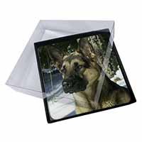 4x German Shepherd Dog in Snow Picture Table Coasters Set in Gift Box