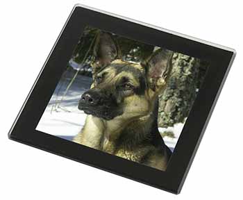 German Shepherd Dog in Snow Black Rim High Quality Glass Coaster