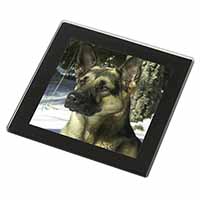 German Shepherd Dog in Snow Black Rim High Quality Glass Coaster