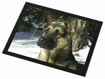 German Shepherd Dog in Snow Black Rim High Quality Glass Placemat