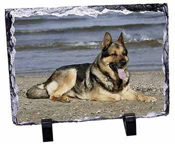 German Shepherd Dog on Beach, Stunning Photo Slate