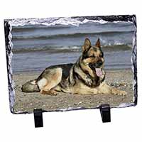 German Shepherd Dog on Beach, Stunning Photo Slate