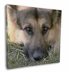 German Shepherd Square Canvas 12"x12" Wall Art Picture Print