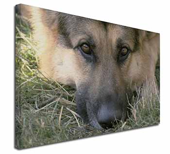 German Shepherd Canvas X-Large 30"x20" Wall Art Print