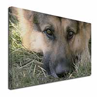 German Shepherd Canvas X-Large 30"x20" Wall Art Print