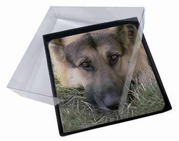 4x German Shepherd Picture Table Coasters Set in Gift Box