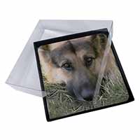 4x German Shepherd Picture Table Coasters Set in Gift Box