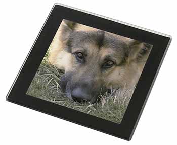 German Shepherd Black Rim High Quality Glass Coaster