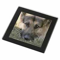 German Shepherd Black Rim High Quality Glass Coaster