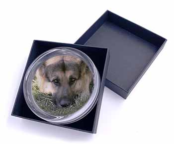 German Shepherd Glass Paperweight in Gift Box