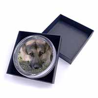 German Shepherd Glass Paperweight in Gift Box