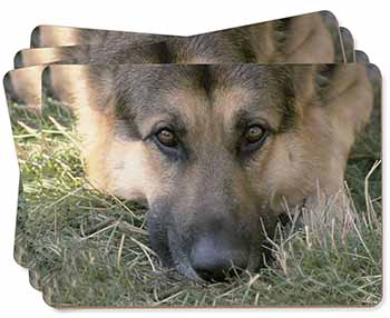 German Shepherd Picture Placemats in Gift Box