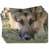 German Shepherd Picture Placemats in Gift Box