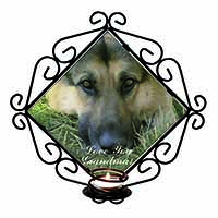 German Shepherd 