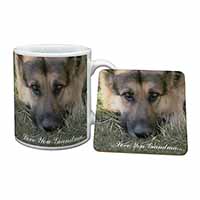 German Shepherd 