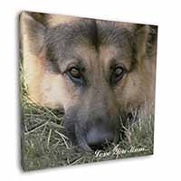 German Shepherd 