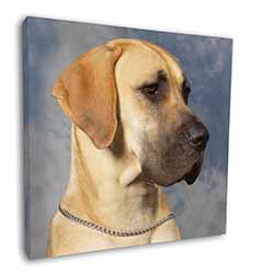 Fawn Great Dane Square Canvas 12"x12" Wall Art Picture Print