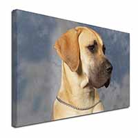 Fawn Great Dane Canvas X-Large 30"x20" Wall Art Print