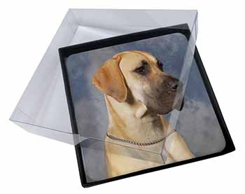 4x Fawn Great Dane Picture Table Coasters Set in Gift Box