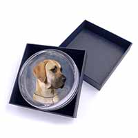 Fawn Great Dane Glass Paperweight in Gift Box