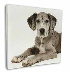 Great Dane Square Canvas 12"x12" Wall Art Picture Print