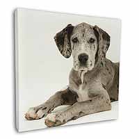 Great Dane Square Canvas 12"x12" Wall Art Picture Print