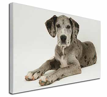 Great Dane Canvas X-Large 30"x20" Wall Art Print