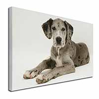 Great Dane Canvas X-Large 30"x20" Wall Art Print