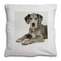 Great Dane Soft White Velvet Feel Scatter Cushion