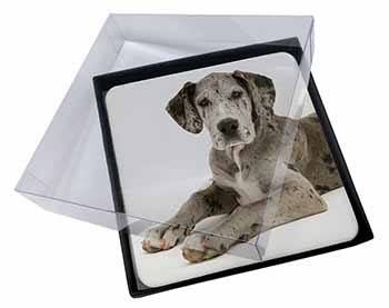 4x Great Dane Picture Table Coasters Set in Gift Box