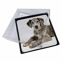 4x Great Dane Picture Table Coasters Set in Gift Box