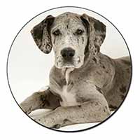 Great Dane Fridge Magnet Printed Full Colour