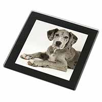 Great Dane Black Rim High Quality Glass Coaster