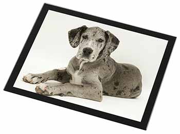 Great Dane Black Rim High Quality Glass Placemat