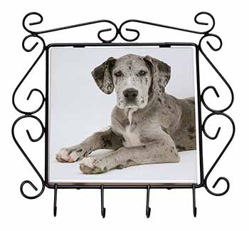 Great Dane Wrought Iron Key Holder Hooks