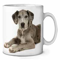 Great Dane Ceramic 10oz Coffee Mug/Tea Cup