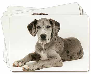 Great Dane Picture Placemats in Gift Box