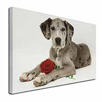 Great Dane with Red Rose Canvas X-Large 30"x20" Wall Art Print